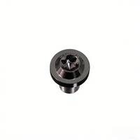 Titanium Rearview Mirror Bolt M8 T40