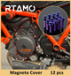 Titanium Bolt Set Fit for KTM 1290 Super Duke R 2023