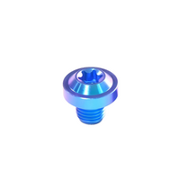 Titanium Rearview Mirror Bolt M8 T40