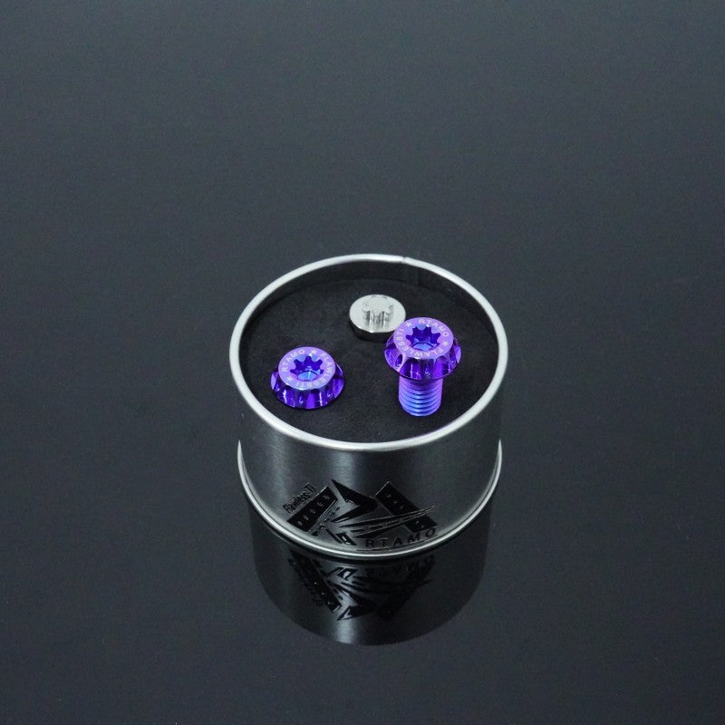 Titanium Anti-Theft Bolts M10