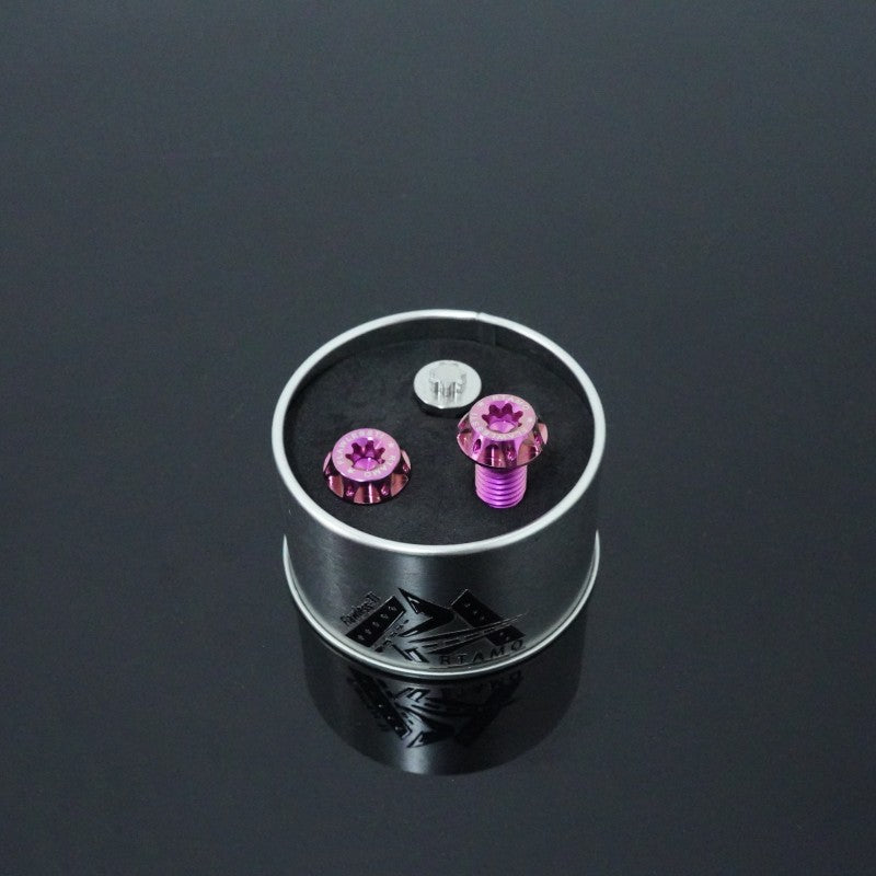 Titanium Anti-Theft Bolts M10