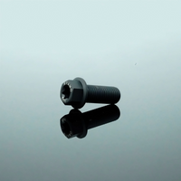 Titanium Bolt M10 Flange Torx Matte Sandblasted Screw