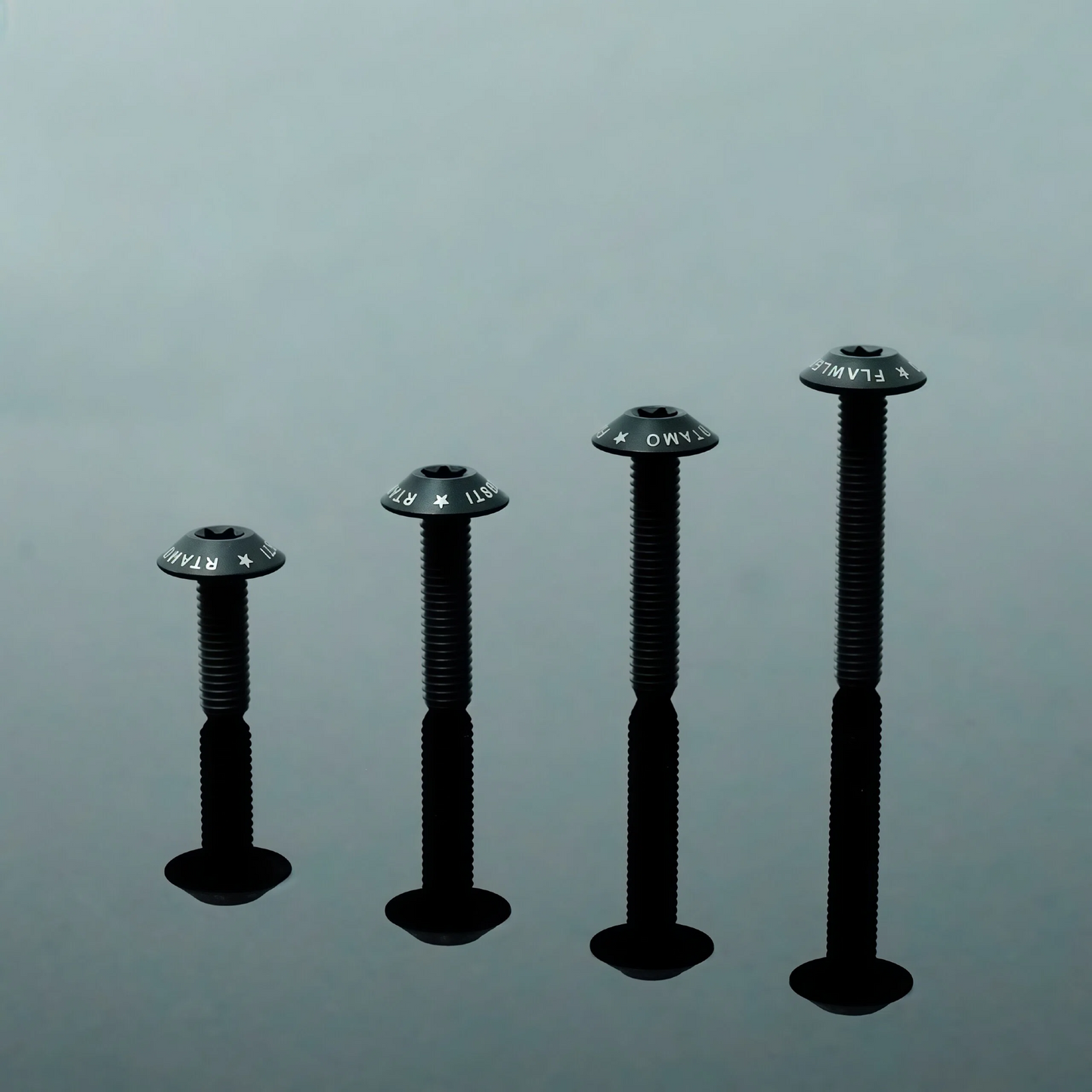 Titanium Bolt M5 Umbrella Torx Matte Sandblasted Screw