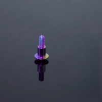 RTAMO Titanium Bolt M5X17/20 for BMW