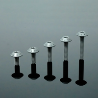 Titanium Bolt M6 Umbrella Torx Matte Sandblasted Screw