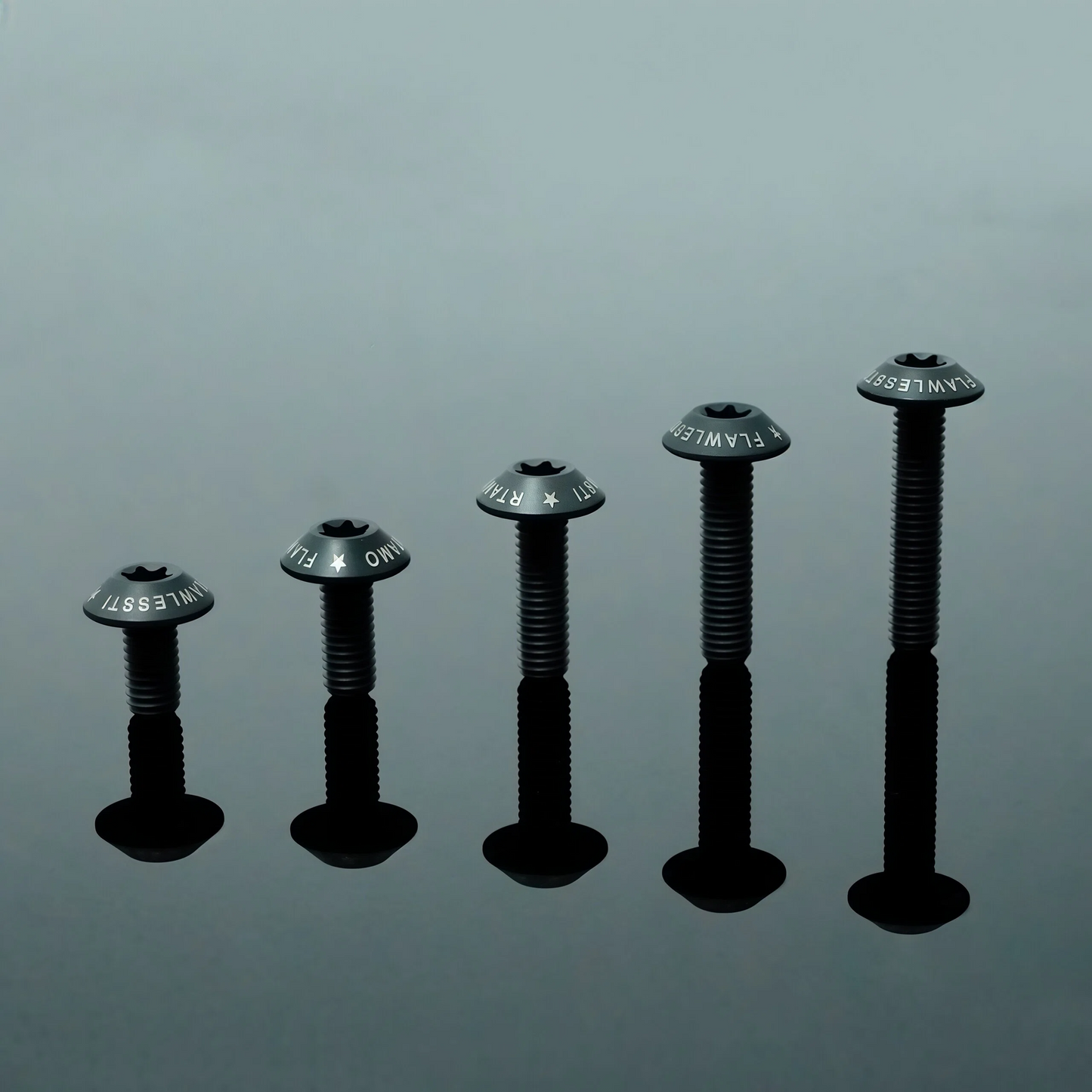 Titanium Bolt M6 Umbrella Torx Matte Sandblasted Screw