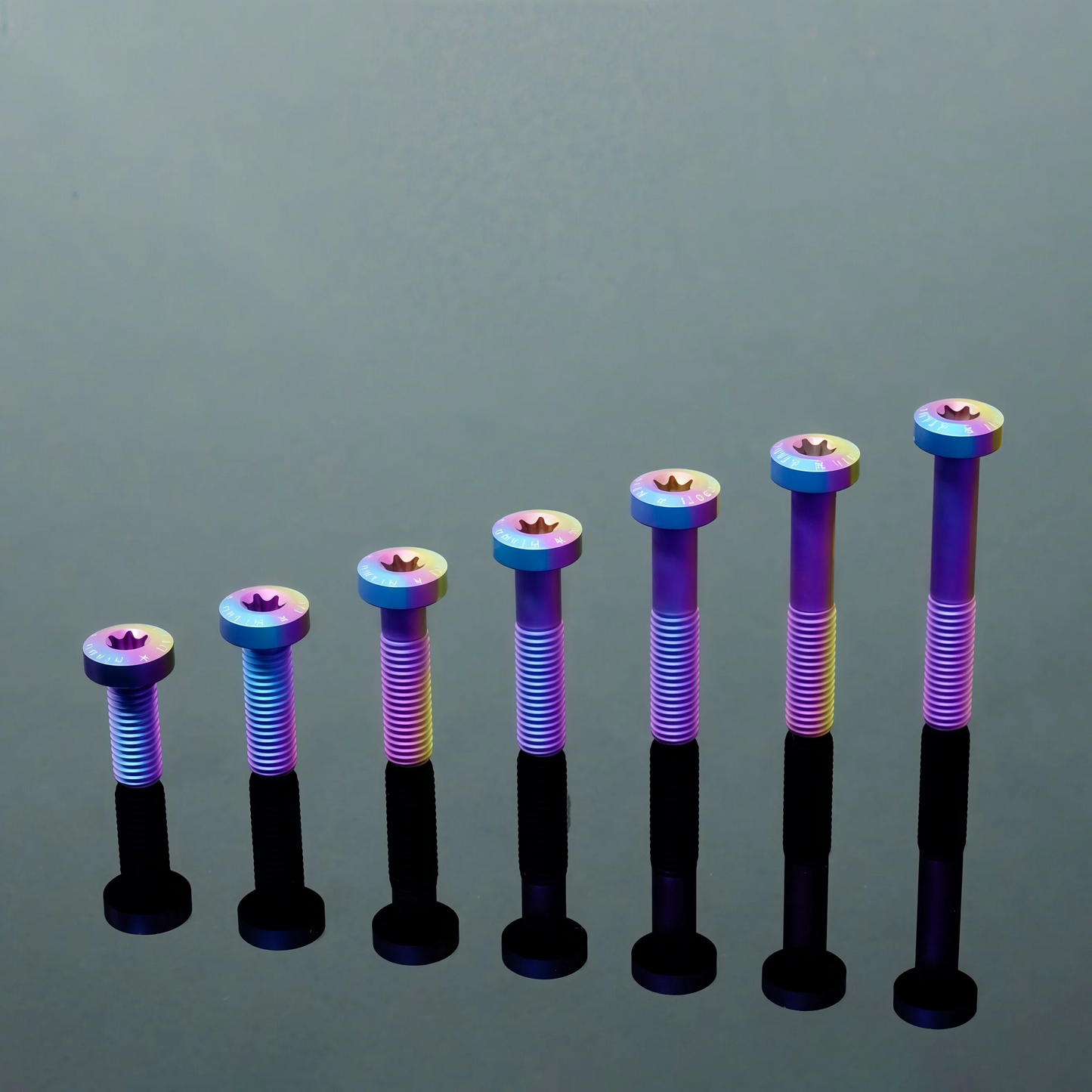 Titanium Bolt M8 Torx Pan Matte Sandblasted Screw