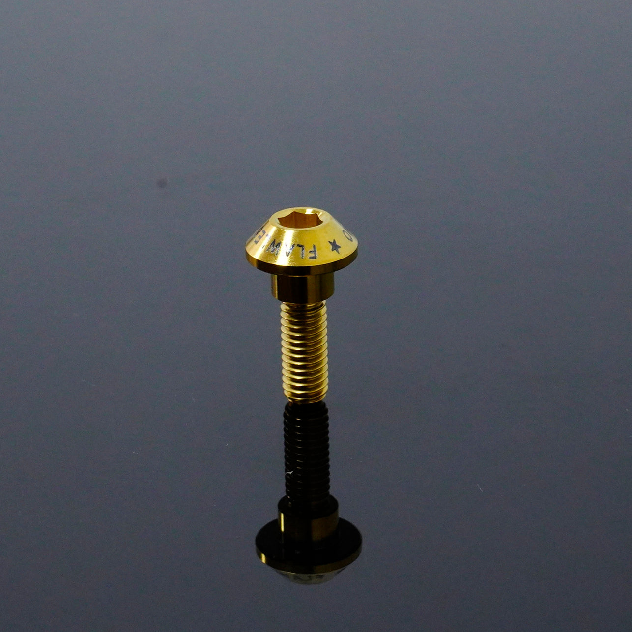 Titanium Hex Socket Head Step Bolt M6
