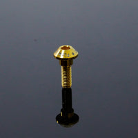 Titanium Hex Socket Head Step Bolt M6