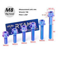 Titanium Bolt M8 Torx Head(OD=16)