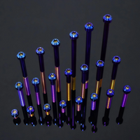 Titanium Bolt M6 Torx Head Chamfered Screw