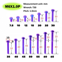 Titanium Bolt M6 Torx Head Chamfered Screw