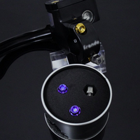 Titanium Anti-Theft Bolts M6
