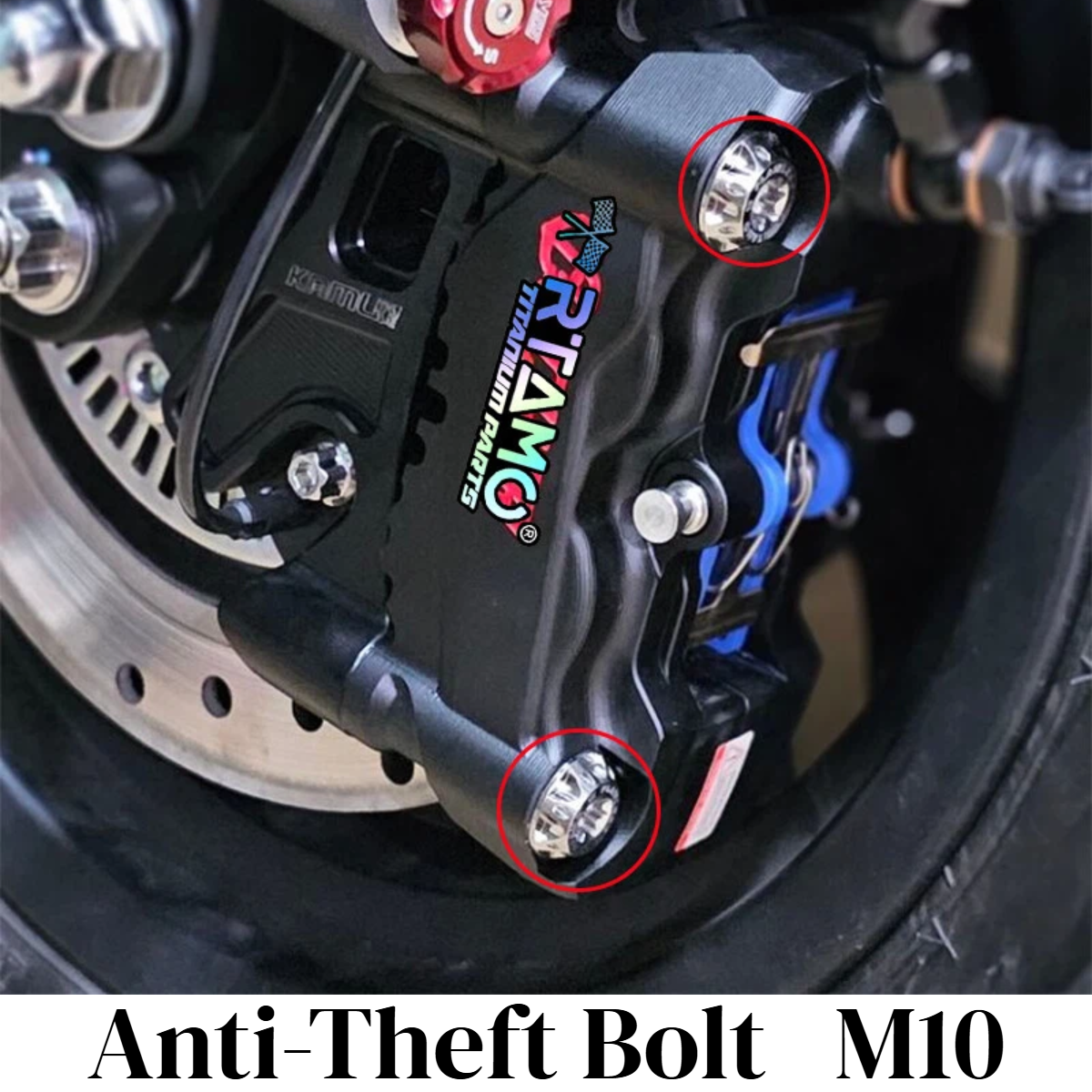 Anti-Theft Bolts