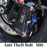 Titanium Anti-Theft Bolts M10