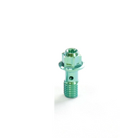 Titanium Banjo Bolt M10(OD=11mm) T30