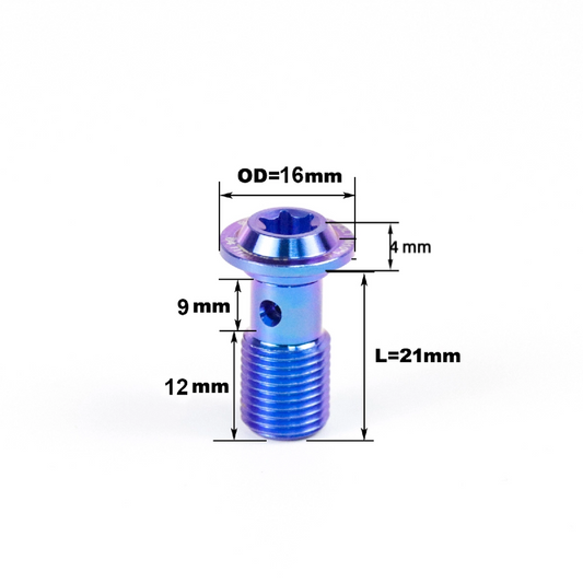 Titanium Banjo Bolt Disc Head M10 T40