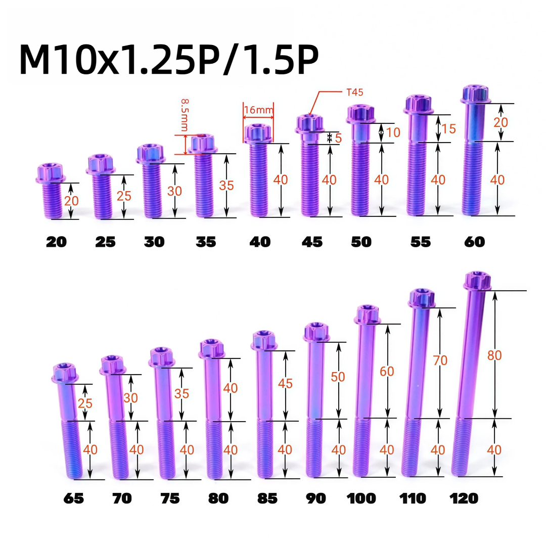Titanium Bolt M10 Torx Head(OD=16)