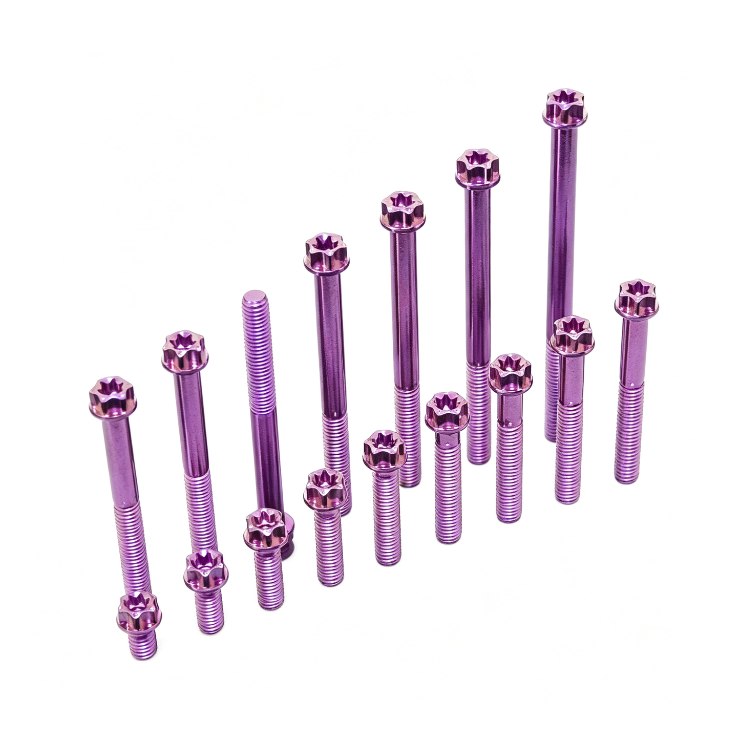 Titanium Bolt M8 Torx Head(OD=13)