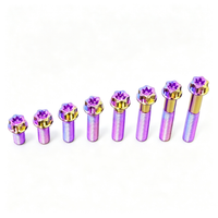 Titanium Bolt M8 Torx Head(OD=13)