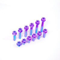 Titanium Bolt M10 Torx Head(OD=18)