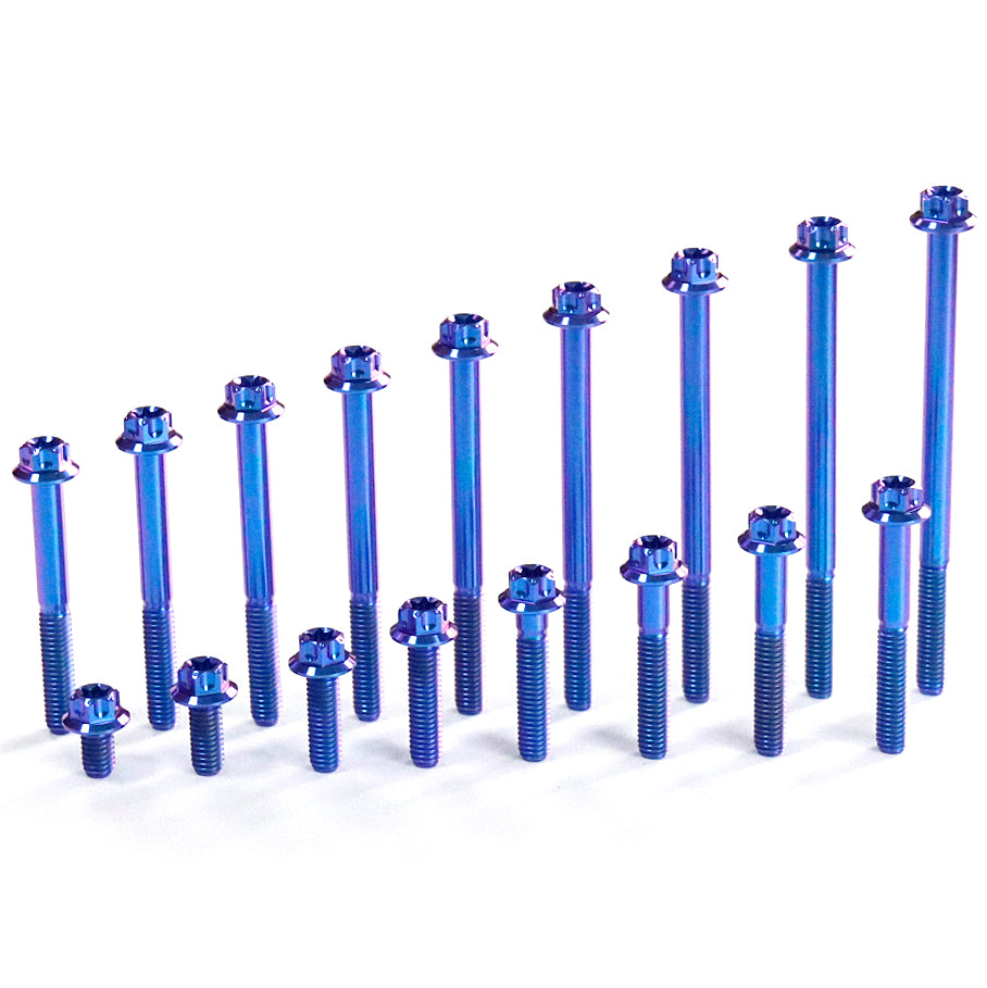 Titanium Bolt M6 Torx Head(OD=12)