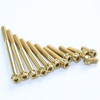 Titanium Bolt M6 Torx Head(OD=10.5)