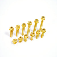 Titanium Bolt M10 Torx Head(OD=18)