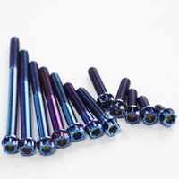 Titanium Bolt M6 Torx Head(OD=10.5)