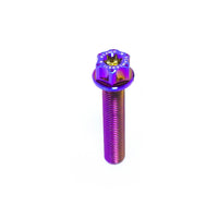Titanium Bolt M10 Full Thread Torx Head(OD=18)