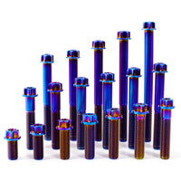 Titanium Bolt M10 Torx Head(OD=16)