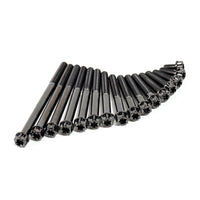 Titanium Bolt M6 Torx Head(OD=10.5)