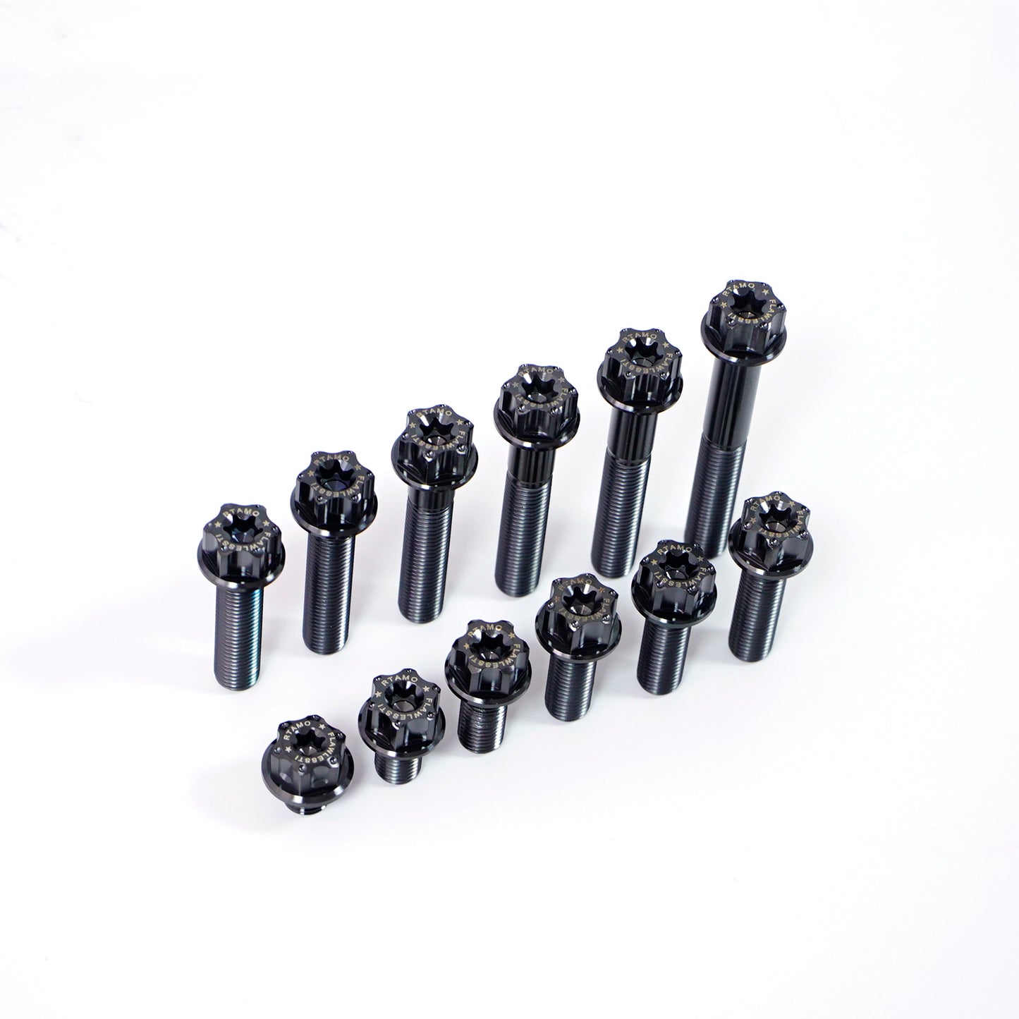 Titanium Bolt M10 Torx Head(OD=18)