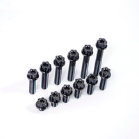 Titanium Bolt M10 Torx Head(OD=18)