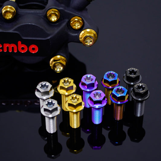 Titanium Bolt M10 Dual-Drive Flange Torx Head