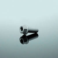 Titanium Bolt M10 Flange Torx Matte Sandblasted Screw