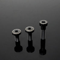 Titanium Bolt M10 Torx Pan Head T40