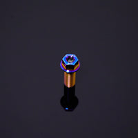 Titanium Bolt M10 Dual-Drive Flange Torx Head