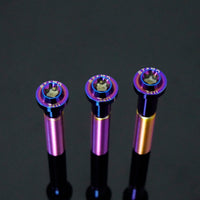 Titanium Bolt M10 Disc Head