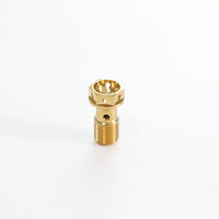 Titanium Banjo Bolt M10