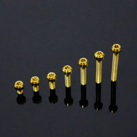 Titanium Bolt M4 Torx Head Chamfered Screw