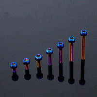 Titanium Bolt M4 Torx Head Chamfered Screw