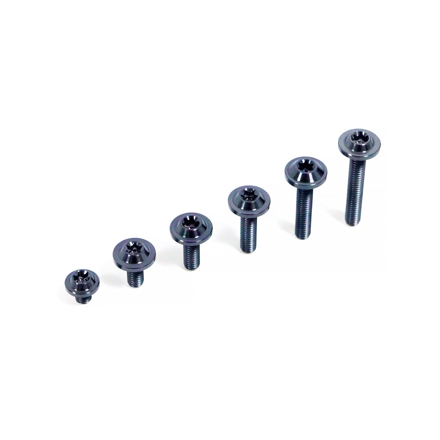 Titanium Bolt M4 Torx Head