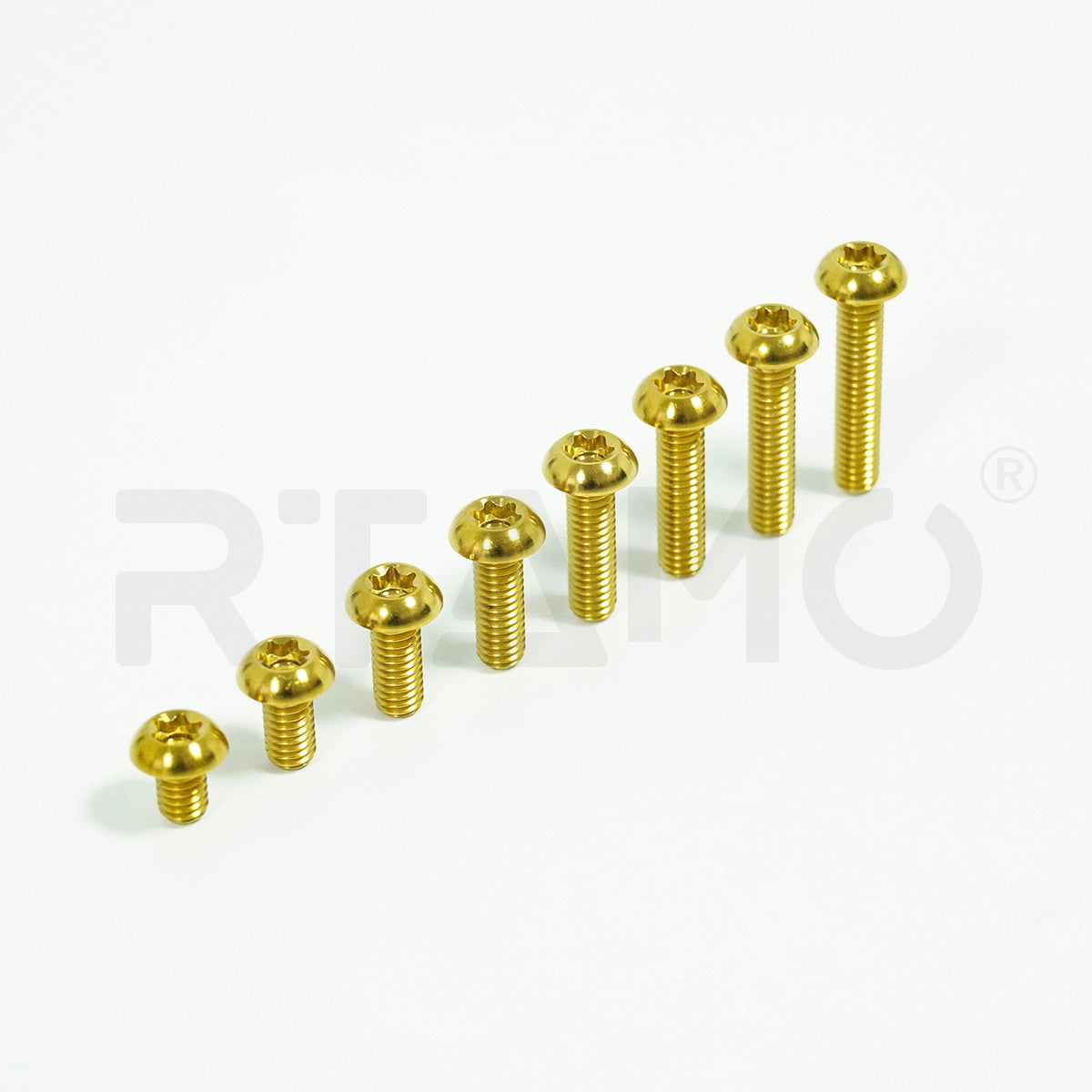 Titanium Bolt M4 Torx Ball Button Head T20
