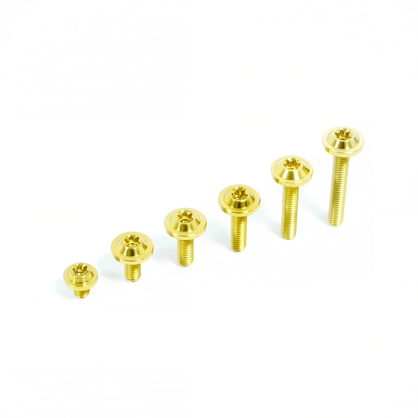 Titanium Bolt M4 Torx Head