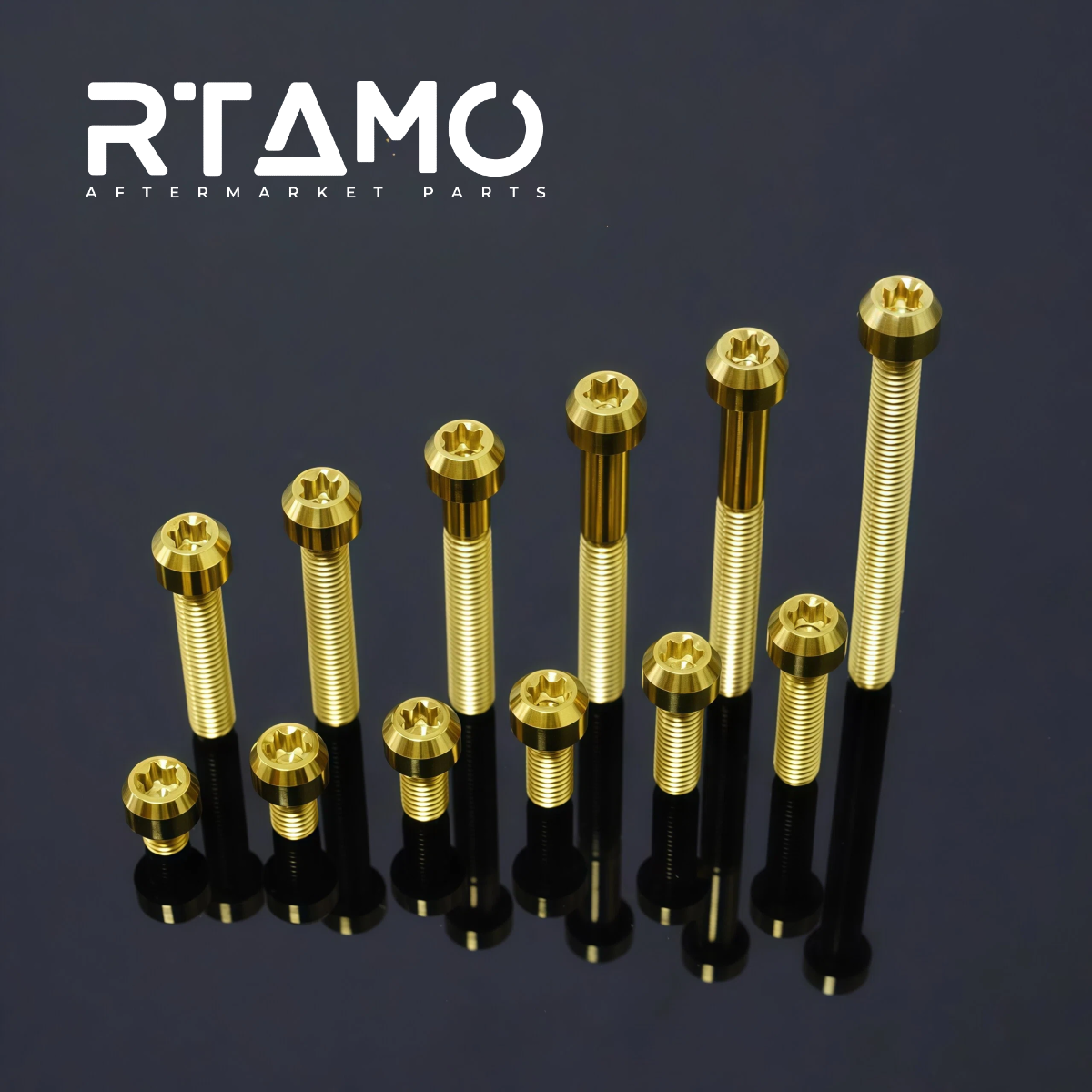 Titanium Bolt M5 Torx Head Chamfered Screw