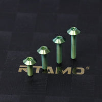 Titanium Bolt M6 Umbrella Torx Head