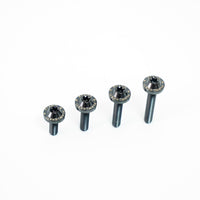 Titanium Bolt M5 Torx Head