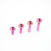 Titanium Bolt M5 Torx Head