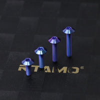 Titanium Bolt M6 Umbrella Torx Head